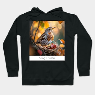 Song Thrush Hoodie